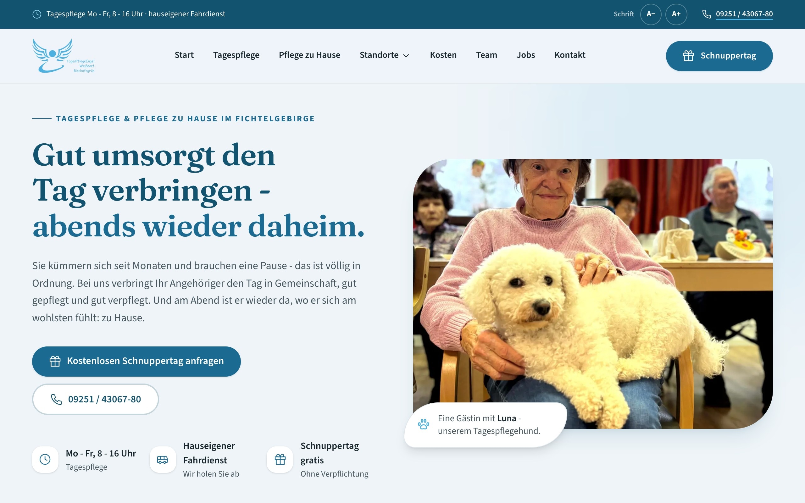 Startseite von TagesPflegeEngel